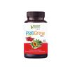 Bhumija Lifesciences PlatiGrow 500 mg 60 Capsules, Improves Platelet Count, Carica Papaya & Giloy Tulsi Extracts view 1