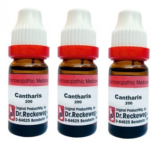 CANTHARIS 200 11ML Dr. Reckeweg (Pack Of 3)