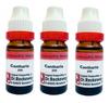 CANTHARIS 200 11ML Dr. Reckeweg (Pack Of 3) view 1