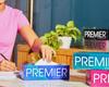 Premier Face Tissue Papers Box 100 Pulls 2Ply (Pack of 4) [Total- 400 Pulls, 800 Sheets] Soft & Absorbent Facial Tissues | Disposable Tissues for home, Car tissue box, Office tissue paper view 3