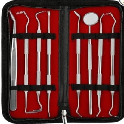 FORGESY Dental Instruments Kit Stainless Steel Oral Care Hygiene Set Of 8 Pc Kit