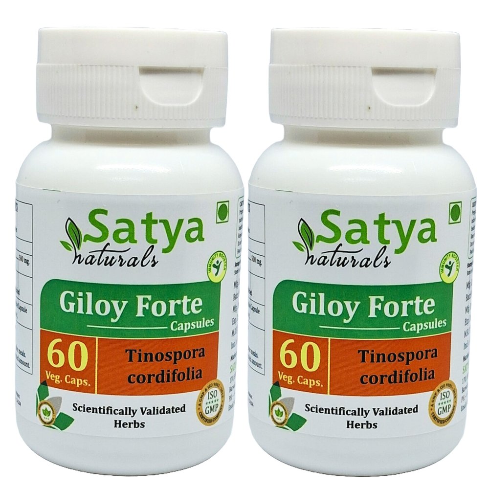 Satya Naturals Tinospora Cordifolia (Giloy, Guduchi) Extract Capsules | Highest Potency, 100% Herbal Product | Pack of 60 X 500 mg. Veg. Capsules (Pack of 2 Bottles)