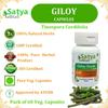 Satya Naturals Tinospora Cordifolia (Giloy, Guduchi) Extract Capsules | Highest Potency, 100% Herbal Product | Pack of 60 X 500 mg. Veg. Capsules (Pack of1 Bottle) view 4