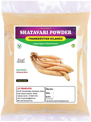 3V PRODUCTS Shatavari Powder 200g | Thaneervittan Kilangu Powder | Asparagus Racemosus (Pack of 2x100g)