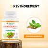 A R Ayurveda Ashwagandha Tablets For General Wellness and Daily Energy (Pack of 60 Tab) view 3