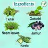 Iagrifarm Pack of 5 Tulsi/Giloy (Guduchi) / Jamun/Neem/Karela Powder / 100 g Each/Combo Pack view 3