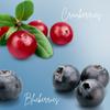 Millets Multigrain Bars (Berries) Blueberries | Cranberries | Gluten Free | Soft Texture | NO ADDED SUGAR | No Preservatives (Pack Of 6) view 2