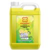 AQUAHOST Dishwash Liquid Gel Lemon Can Jar 5 Litre Fast Cleansing&Antimicrobial Action With Long-Lasting Hygienic&Refreshing, Leaves No Residue, Grease Cleaner For All Utensils view 1