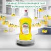 REGULAR CLEAN Dishwash Liquid Cleaner For All Utensils Sparkling Clean Dishes Long-Lasting Performance Easy Rinse-Off Removes Stubborn Stains Ideal for Household and Commercial Use. 500ML view 2