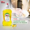 REGULAR CLEAN Dishwash Liquid Cleaner For All Utensils Sparkling Clean Dishes Long-Lasting Performance Easy Rinse-Off Removes Stubborn Stains Ideal for Household and Commercial Use. 500ML view 3