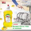 REGULAR CLEAN Dishwash Liquid Cleaner For All Utensils Sparkling Clean Dishes Long-Lasting Performance Easy Rinse-Off Removes Stubborn Stains Ideal for Household and Commercial Use. 500ML view 4
