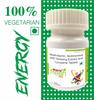 Health Fresh Multivitamin, Multimineral with Ginseng Extract and Lycopene, Calcium, Vitamin D3, C, B12 & 21 other Nutrients for Overall Health, Strong Joints & Heart Health (Veg) Tablets (30 Count) view 2