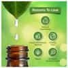 Farm Blends Tea Tree Essential Oil 100% Undiluted Pure | Anti Dandruff, Anti Acne, Beard Care, Anti-Blemish, Boosts Energy, Diffuser| Farm To Home | Natural Australian | Melaleuca alternifolia|10ML + 10ML (Pack of 2) view 3
