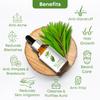 Farm Blends Tea Tree Essential Oil 100% Undiluted Pure | Anti Dandruff, Anti Acne, Beard Care, Anti-Blemish, Boosts Energy, Diffuser| Farm To Home | Natural Australian | Melaleuca alternifolia|10ML + 10ML (Pack of 2) view 4
