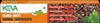 Clove Toothpaste - 100gm view 1