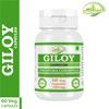 Morsan Nutraveda Giloy (Tinospora Cordifolia, Guduchi) Extract Capsule | 60 x 500 mg Veg Capsules | Strengthens Natural Defenses, Supports Detox, Enhances Vitality | Herbal High-Potency Supplement view 3