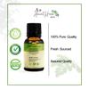 Ancient Healer Moringa Oil - Cold-Pressed, Pure & Natural, Carrier Oil for Skin, Hair, Face care - Moringa Seed Oil, 15 ml view 3