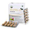 Vayu Wellness Hang-O Refresh Hangover Prevention Capsules, Natural, Safe and Effective, 30 Vegetarian Capsules, Each 450mg Capsule with Ashwagandha, Amla, Kasni & Punarnava. view 1