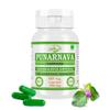 Morsan Nutraveda Punarnava (Boerhaavia Diffusa) Extract Capsule | 60 x 500 mg Veg Capsules | Supports Renal Wellness, Aids Inflammatory Response, Promotes Natural Detoxification view 1