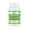 Gokharu Capsules with Tribulus terrestris | Herbal Vitality Support | 60 Veg Capsules (Pack of 2) view 4