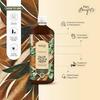 Proveda Nutricio Natural Immunity Booster,New Upgrade formula Pure Giloy Tulsi & Neem Ras, 500 ml view 4