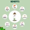 Sampuran Swadeshi Punarnava Makoy Juice : Naturally Support Eye, Kidney Health and Liver Health 1L view 4