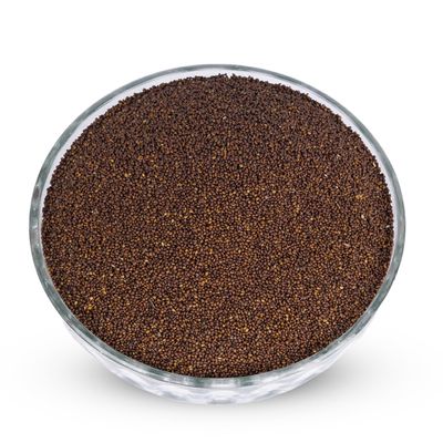 JMN Beej Tulsi Asli | Krishan Tulsi Seeds | Ocimum Sanctum | Tulsi Seeds | Black Tulsi Seeds | Shyama Tulsi Seeds Edible