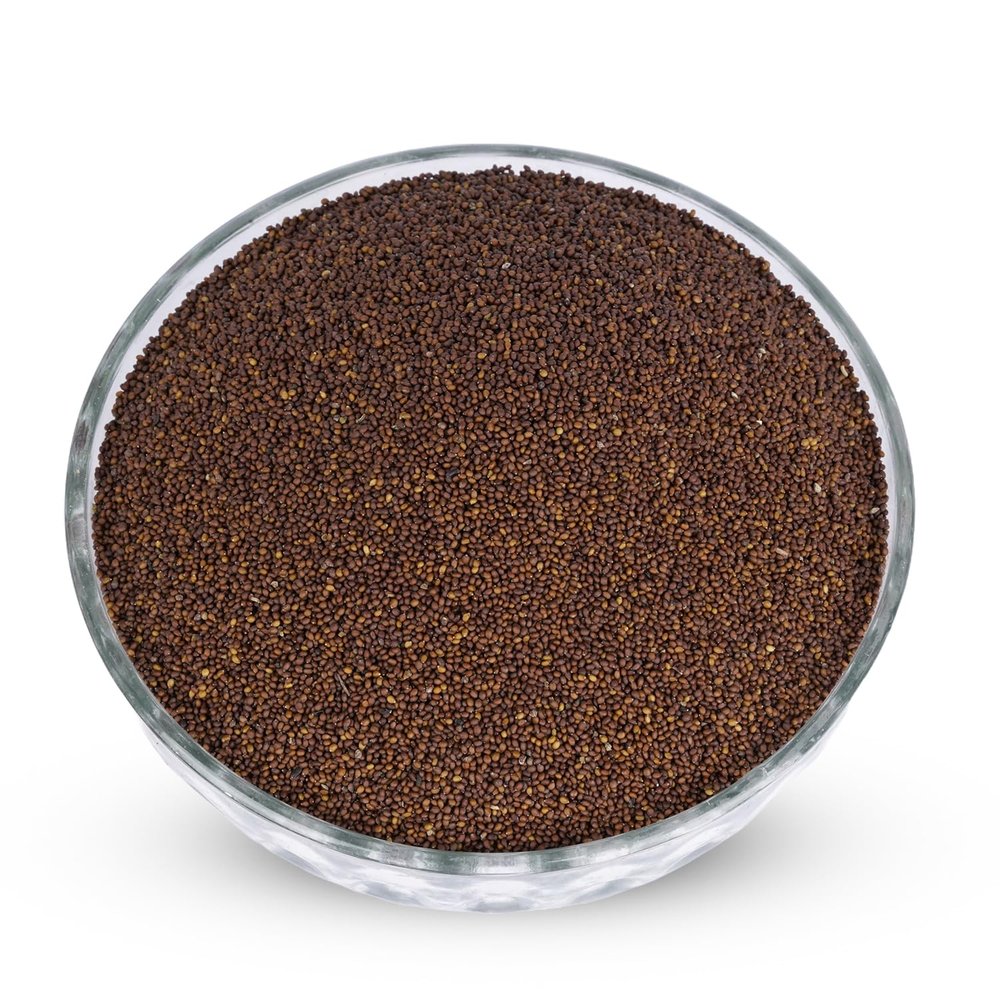 JMN Beej Tulsi Asli | Krishan Tulsi Seeds | Ocimum Sanctum | Tulsi Seeds | Black Tulsi Seeds | Shyama Tulsi Seeds Edible