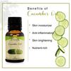 Ancient Healer 100% Pure and Natural Cucumber OIl for Skin Care and Hair Care,15ML view 3