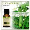 Ancient Healer 100% Pure and Natural Cucumber OIl for Skin Care and Hair Care,15ML view 4