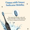 Perfora Rechargeable Smart Sonic Electric Toothbrush For Men & Women | Electric Brush With 4 Modes & 60 Day Battery Life | IPX7 Waterproof Sonic Tooth brush with 4 Brush Heads & Travel Case - Black view 3