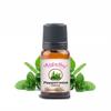 Aepathy Peppermint Essential Oil 30Ml | for Home, Candle, Office| for Aromatherapy, Diffuser, Soap & Candle Making | pack of 1 view 1