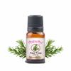 Aepathy Tea Tree Essential Oil 30Ml | for Home, Candle, Office| for Aromatherapy, Diffuser, Soap & Candle Making | pack of 1 view 1