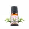 Aepathy Eucalyptus Essential Oil 30Ml | for Home, Candle, Office| for Aromatherapy, Diffuser, Soap & Candle Making | pack of 1 view 1