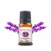 Aepathy Lavender Essential Oil 30Ml | for Home, Candle, Office| for Aromatherapy, Diffuser, Soap & Candle Making | pack of 1 view 1