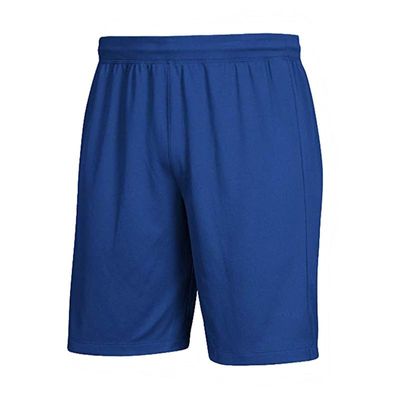 Generic Men's Multicolour Knee-Length Polyester Sport Shorts (Large)