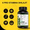 6pro Stamina Shilajit Capsules For Men With Ashwagandha Ayush Approved Ayurvedic Herbs- 60 Capsules (Pack of 2) view 3