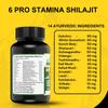 6pro Stamina Shilajit Capsules For Men With Ashwagandha Ayush Approved Ayurvedic Herbs- 60 Capsules (Pack of 2) view 4