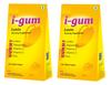 Aesthetic i-gum Lutein Supplement Gummies | Lutein and Zeaxanthin Supplement For Kids and Adults | No Added Sugar | Mango Flavour | Pack of 2 view 1