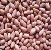 Aadi16's Bengal Spice Premium Desi Red Ground Raw Peanut Chinabadam High in Nutrition with no Preservative to lower Cholesterol levels. Pack of 1kg. view 2