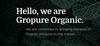 GroPure Organic: From Soil to Soul - Jaggery Powder - 1.8kg I Gud Powder I Pure and Authentic Taste I Boosts Immunity I Great Body Detoxifier I Taste of Purity view 3