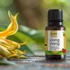 2care Ylang Ylang Essential Oil For Massage, Skin, Hair, Diffuser (Pack of 1) 15ml view 2