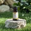 2care Tea Tree Essential Oil & Ylang Ylang Essential Oil Combo (Pack Of 2) 30ml view 3