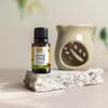 2care Tea Tree Essential Oil & Ylang Ylang Essential Oil Combo (Pack Of 2) 30ml view 4