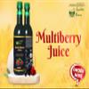 AYURVED POWER Multi Berry Juice 500ml With 25+ Other Berries & Fruit |100% Fruit Juice | Anti-Oxidants Immunity, Heart Care No Added Sugar Healthy Beverage view 2