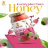 APERA Pure And Natural |Unpasteurized | Eucalyptus Forest Honey - 500g(pack of2) view 4