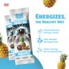 MOON Energy Bar Pineapple  270g Pack (45g x 6 Bars) 100% Natural | No Added Sugar | Vegan | Clean Energy Snack with Real Fruits & Nuts | On-the-Go Nutrition | view 2