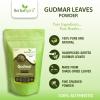 Herbal Spirit Gudmar Powder, 400gm | Gurmar Powder | Sirukurinjan Powder | Shardunika Herb Powder | Shardunika Powder Organic | Madhunashini | Madhunashni | Madhushani Powder | Gymnema Sylvestre | view 2
