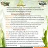 ETEASY Matcha Atibala churna bala kangi abutilon thuthi indian mallow antioxidant Powder 200 gms (Diabetic Safe) Just Add Hot Water view 4