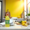 Army Cleaner Dish Wash Liquid 1 Ltr  Powerful Lemon Formula for Sparkling Clean Utensils view 4